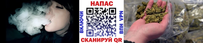 Марихуана план  Зеленоградск 